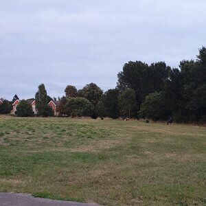 Meet your Posher, Vivian